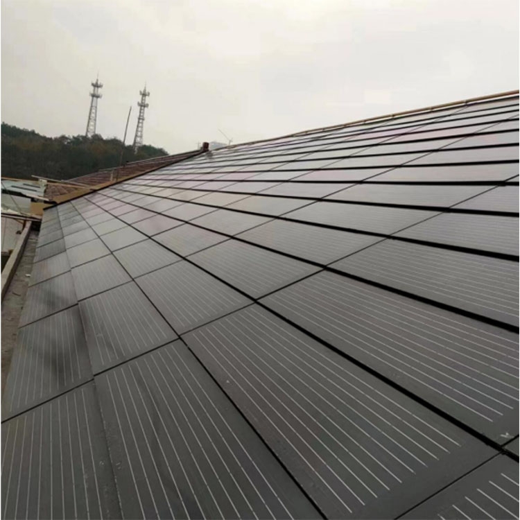 Siyopower 100W Double-Glass Flat Solar Roof Tile